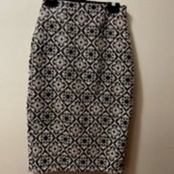 Zara Basic Skirt (XS) - Picture 1 of 2